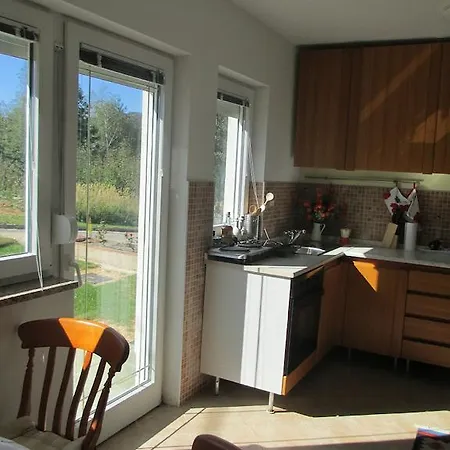 Apartment Julija 1 Fuzine