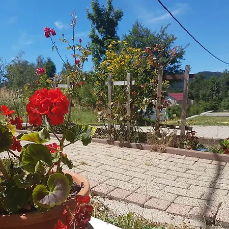 Julija 1 * Fužine